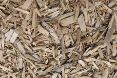 biomass boilers Rishton